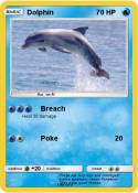 Dolphin