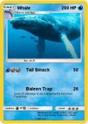 Whale