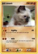 ash smash