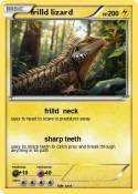 frilld lizard