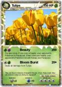 Tulips