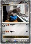 sniper cat