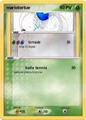mariotortue