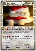 Santa Cat