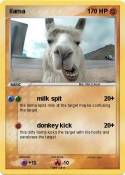 llama