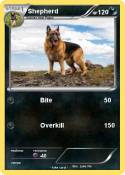 Shepherd