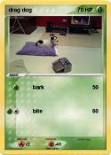 drag dog