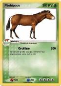 Pliohippus