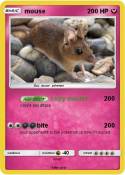 mouse