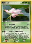 Water Lily