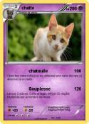chatte