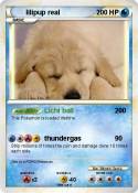 lilipup real