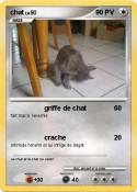 chat