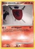 TEAM DRAGON