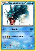Gyarados Electr