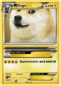 Doge