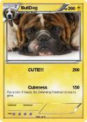 BullDog