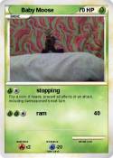 Baby Moose