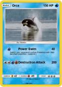 Orca