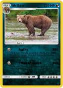 Mr.Bear