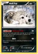 Wolf Pup