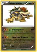 Bowser shiney