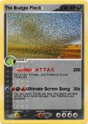 The Budgie Floc