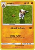 shit dog