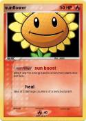 sunflower