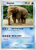 Elephant