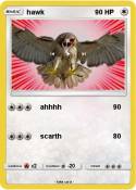 hawk