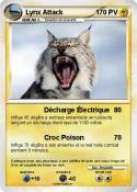 Lynx Attack