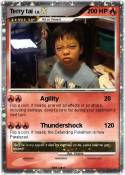 Terry tai