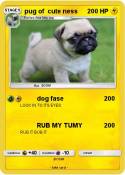pug of cute