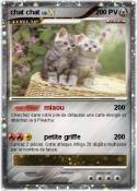 chat chat