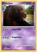 chow-chow
