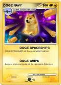 DOGE NAVY