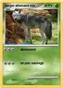 berger allemand