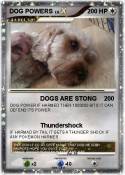 DOG POWERS