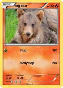 big bear