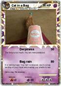 Cat in a Bag