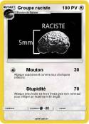Groupe raciste