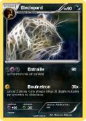 Eleclopard