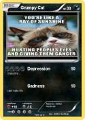 Grumpy Cat