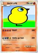 DUCK LIFE
