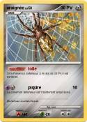 araignée