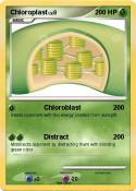 Chloroplast