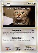 cat