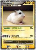 Hamster