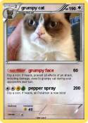 grumpy cat